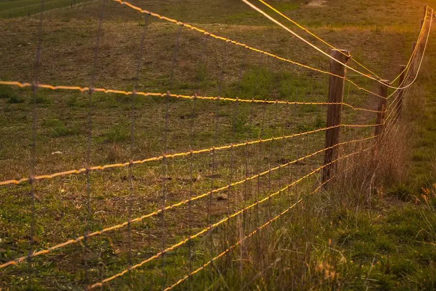 Affordable Chain Link Fence Installation Winder, GA Affordable Chain Link Fence Installation Winder, GA