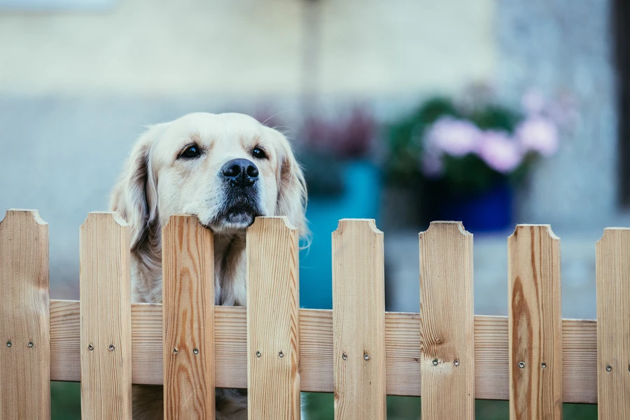 Common Issues During Wood Fence Installation in Winder, GA Common Issues During Wood Fence Installation in Winder, GA